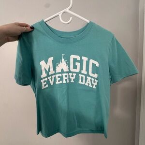 Walt Disney World Longer Crop Top